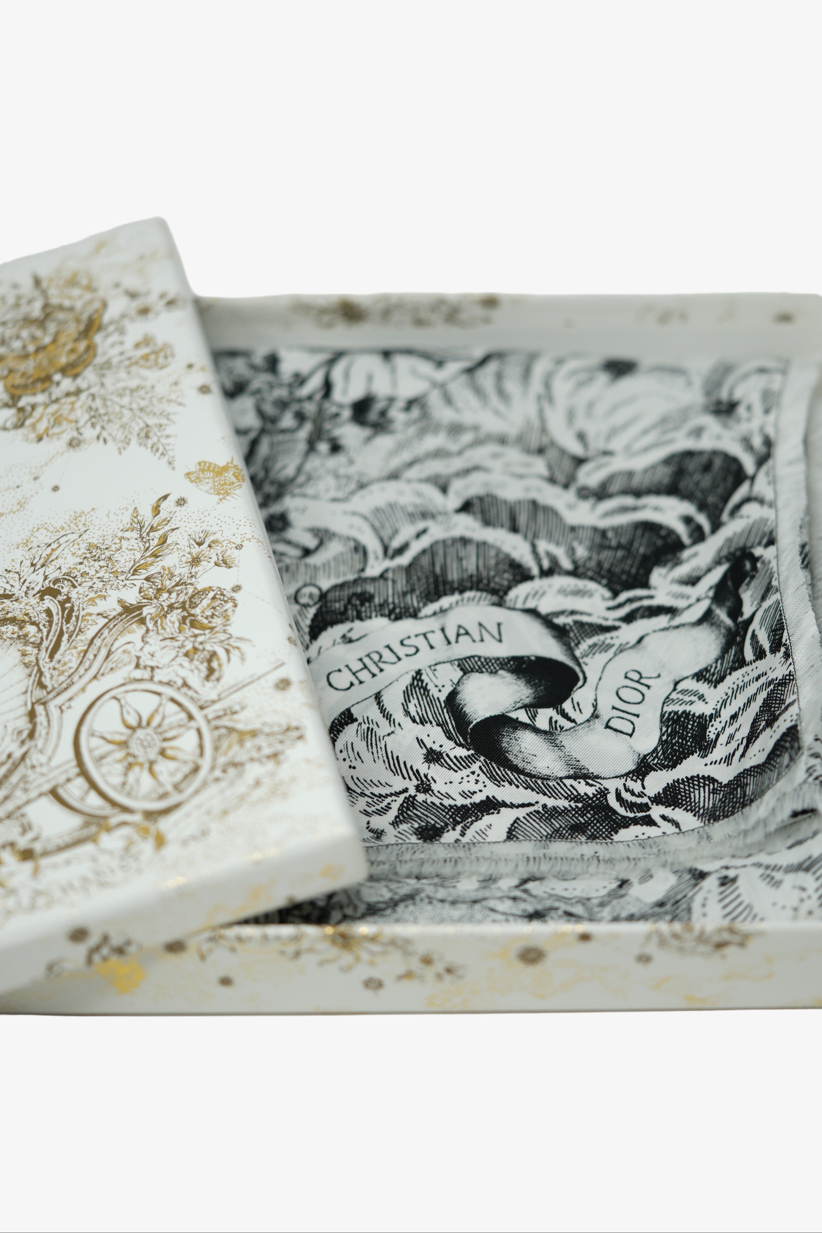 Dior Echarpe en soie Silk Scarf