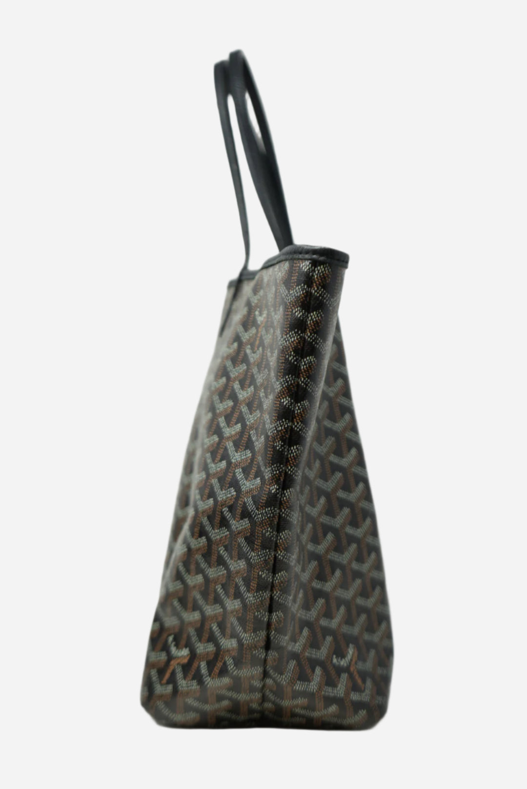 Goyard 2019 Goyardine Saint Louis PM Black