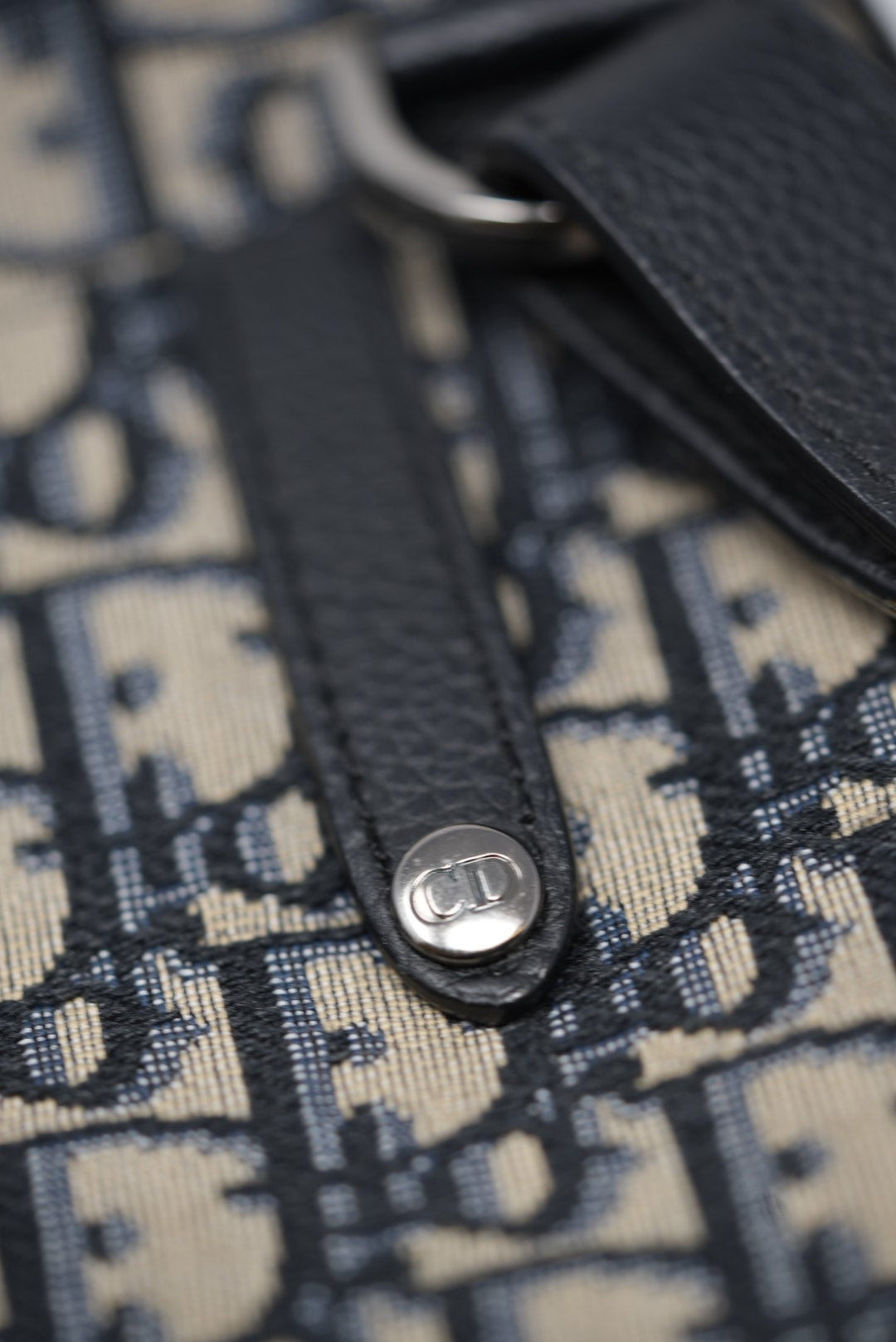 Dior Oblique Saddle Belt Bag 2020
