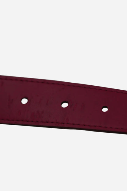 Louis Vuitton Multi Color Belt