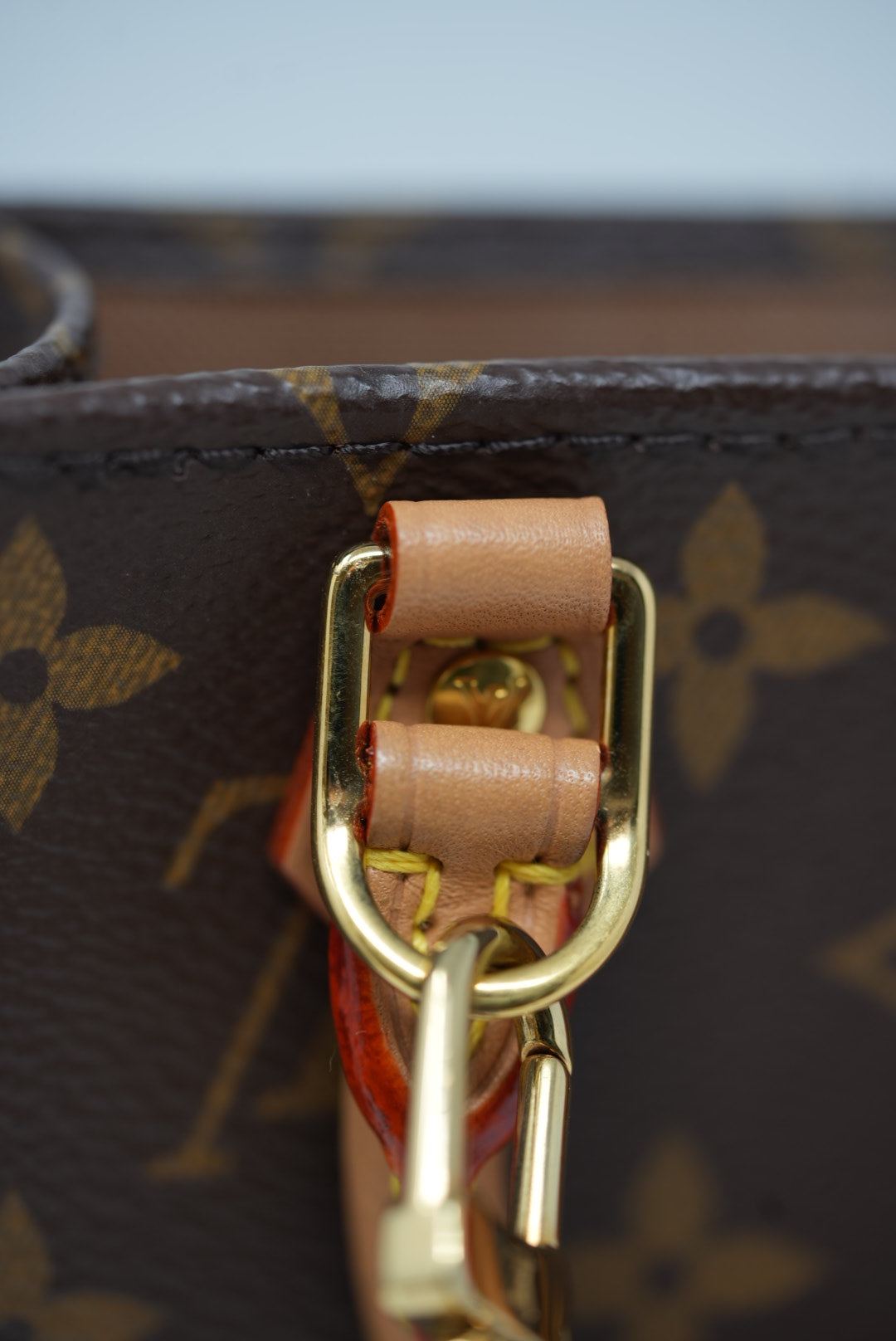 Louis Vuitton Petit Sac Plat 2020