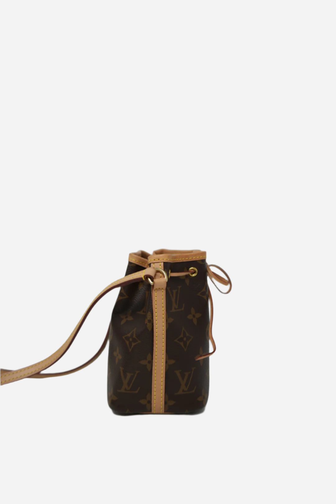Louis Vuitton Monogram Nano Noe 2020