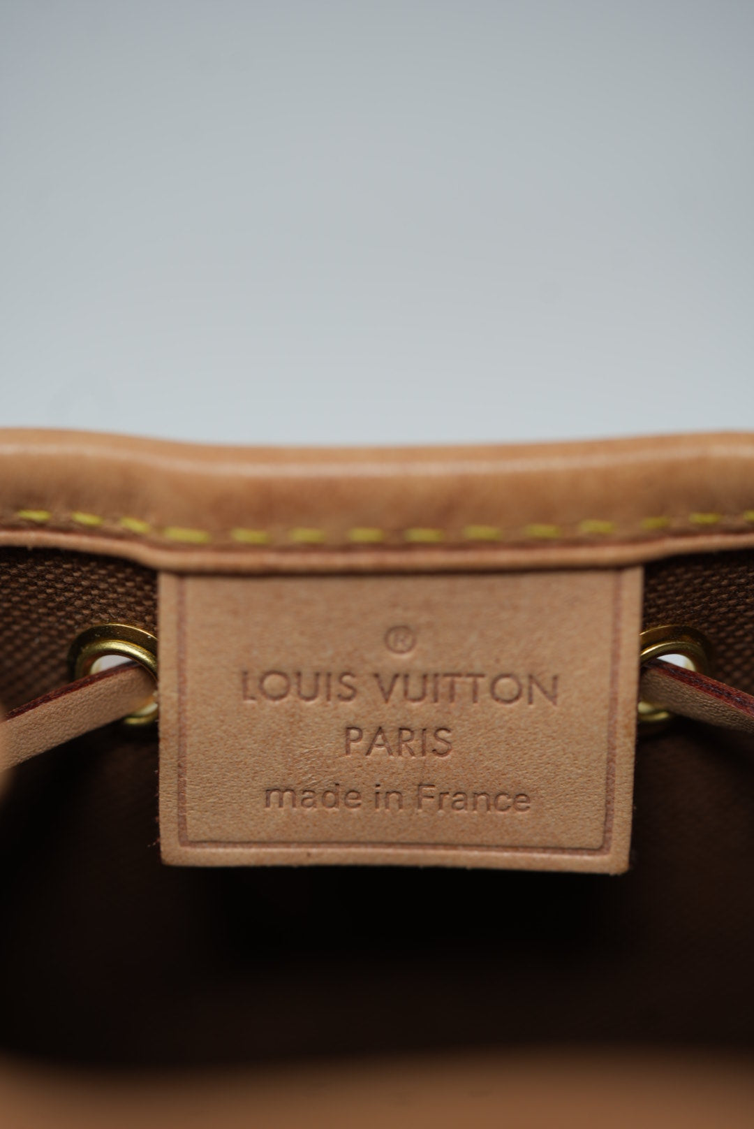 Louis Vuitton Monogram Nano Noe 2020