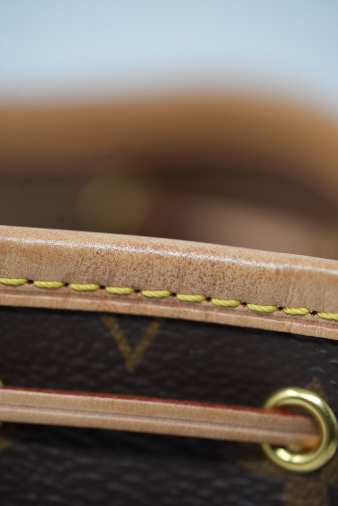 Louis Vuitton Monogram Nano Noe 2020