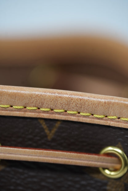 Louis Vuitton Monogram Nano Noe 2020