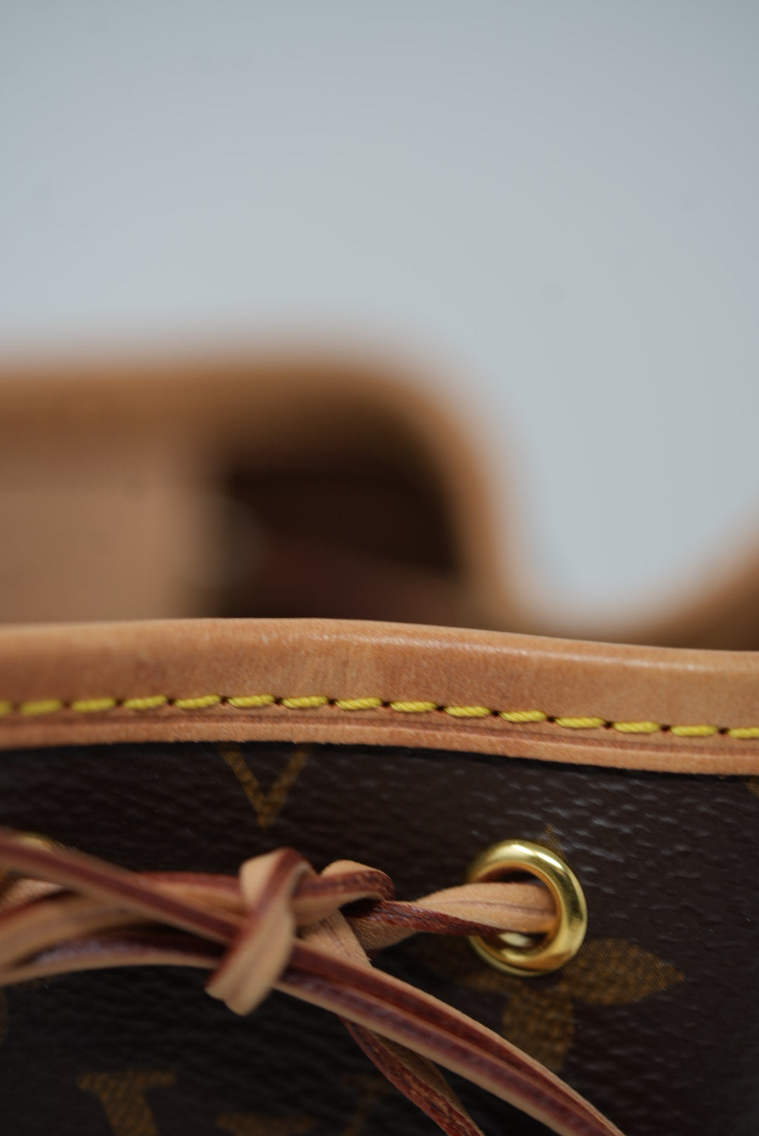 Louis Vuitton Monogram Nano Noe 2020