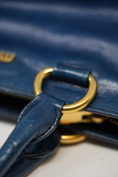 Miu Miu 2 Ways Calfskin Shoulder Bag