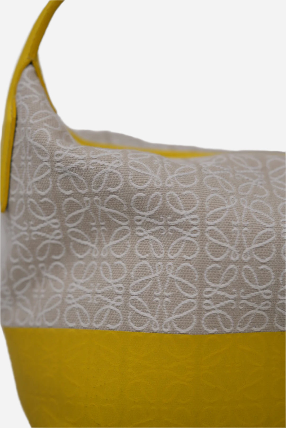 Loewe Small Cubi bag Canvas