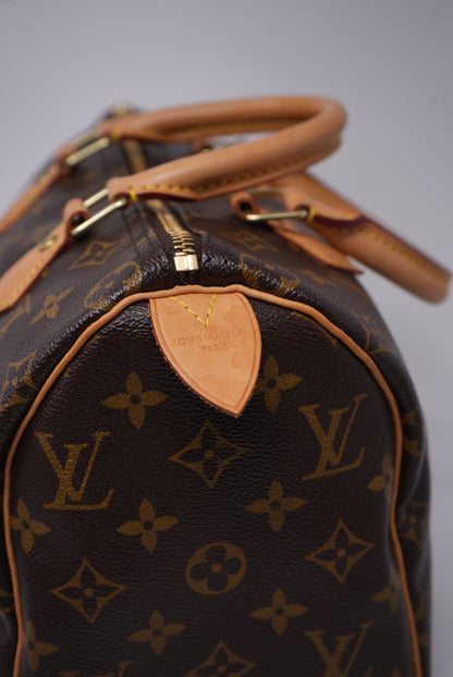 Louis Vuitton Speedy 25 Handbag Monogram