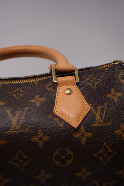 Louis Vuitton Speedy 25 Handbag Monogram