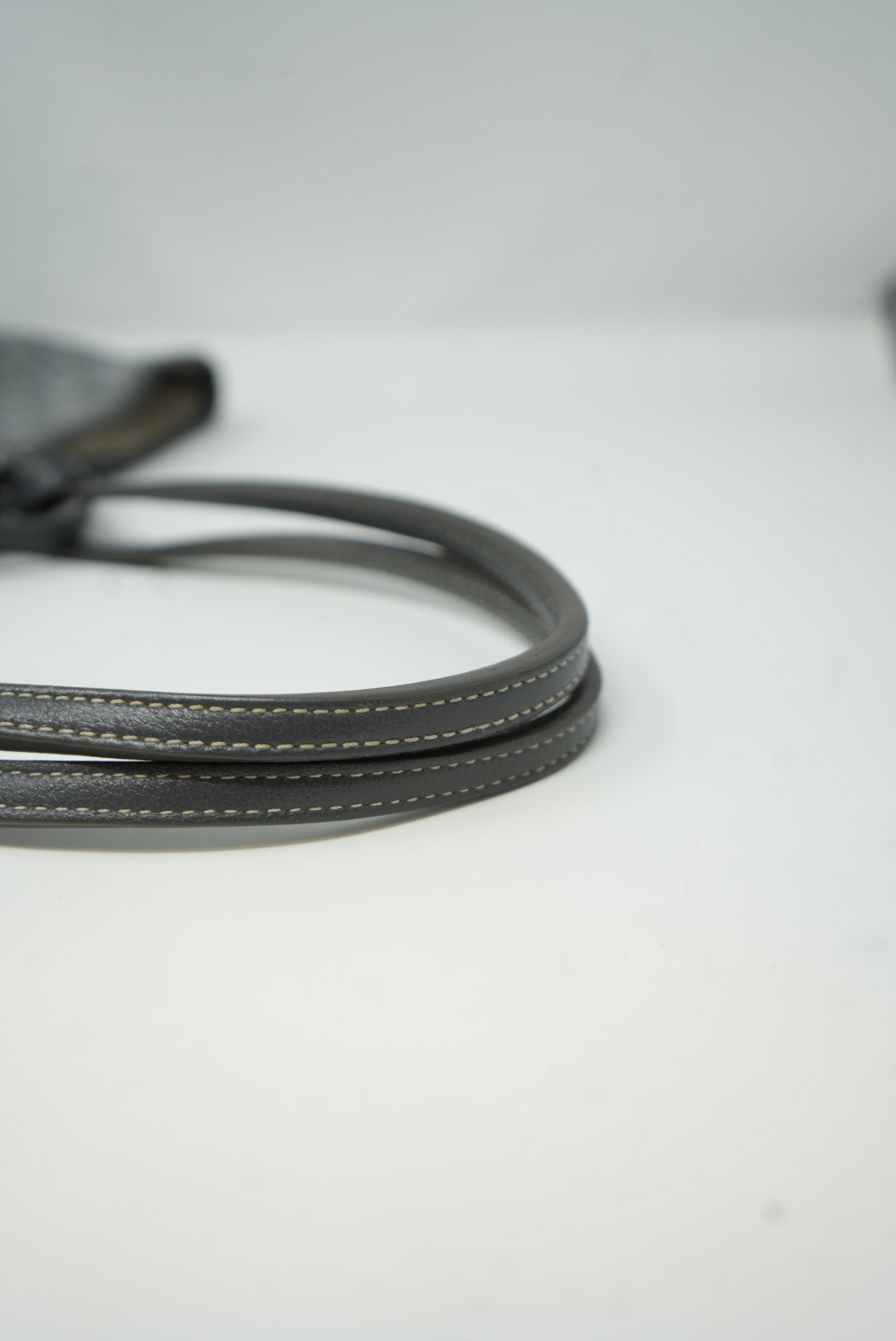 Goyard Goyardine Saint Louis PM 2018