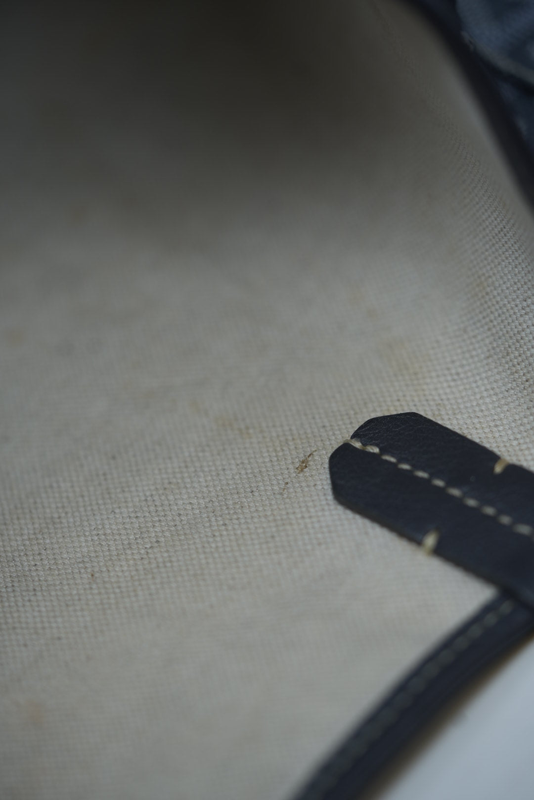 Goyard Goyardine Saint Louis PM 2018