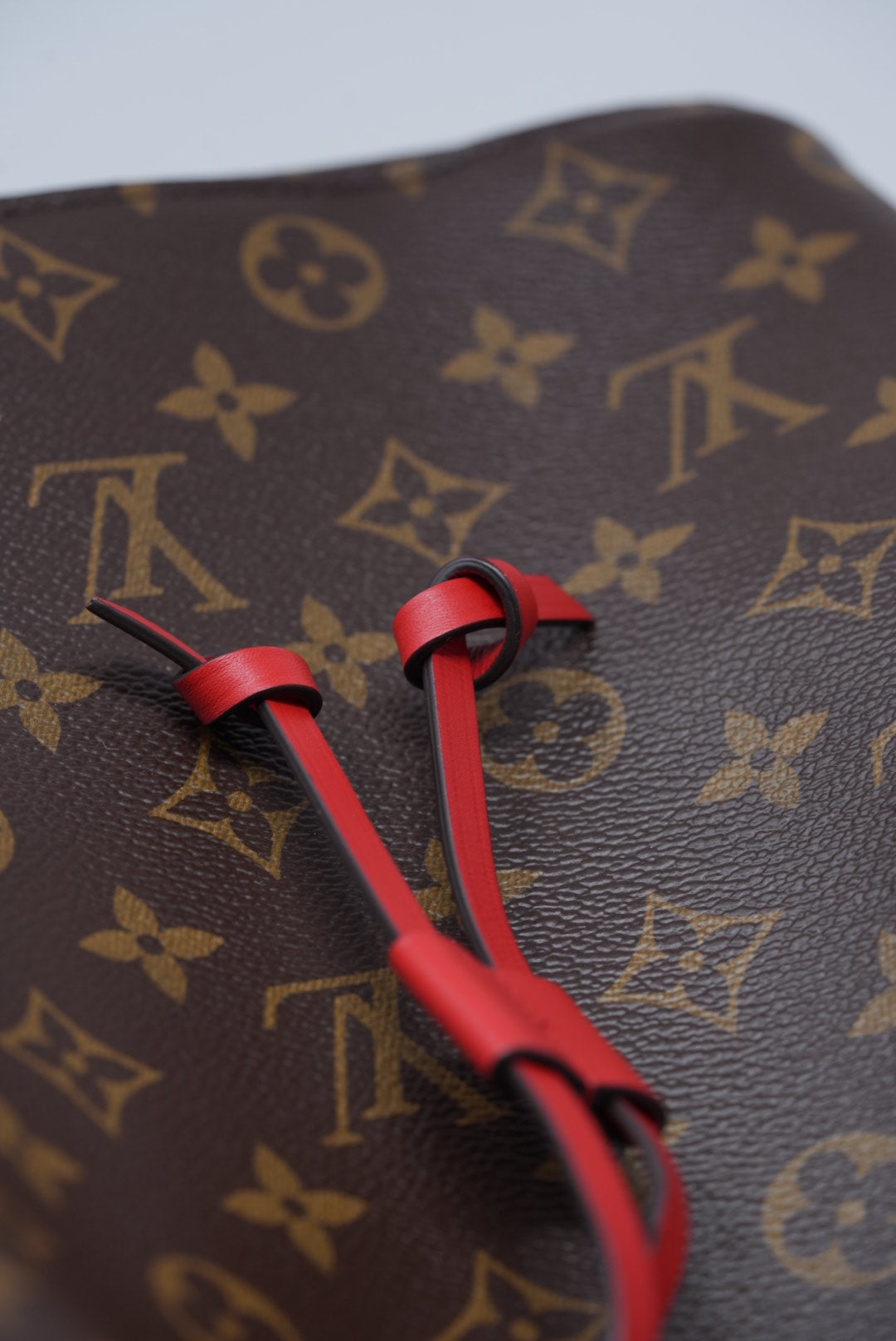 Louis Vuitton Monogram Canvas NeoNoe Hobo Bag