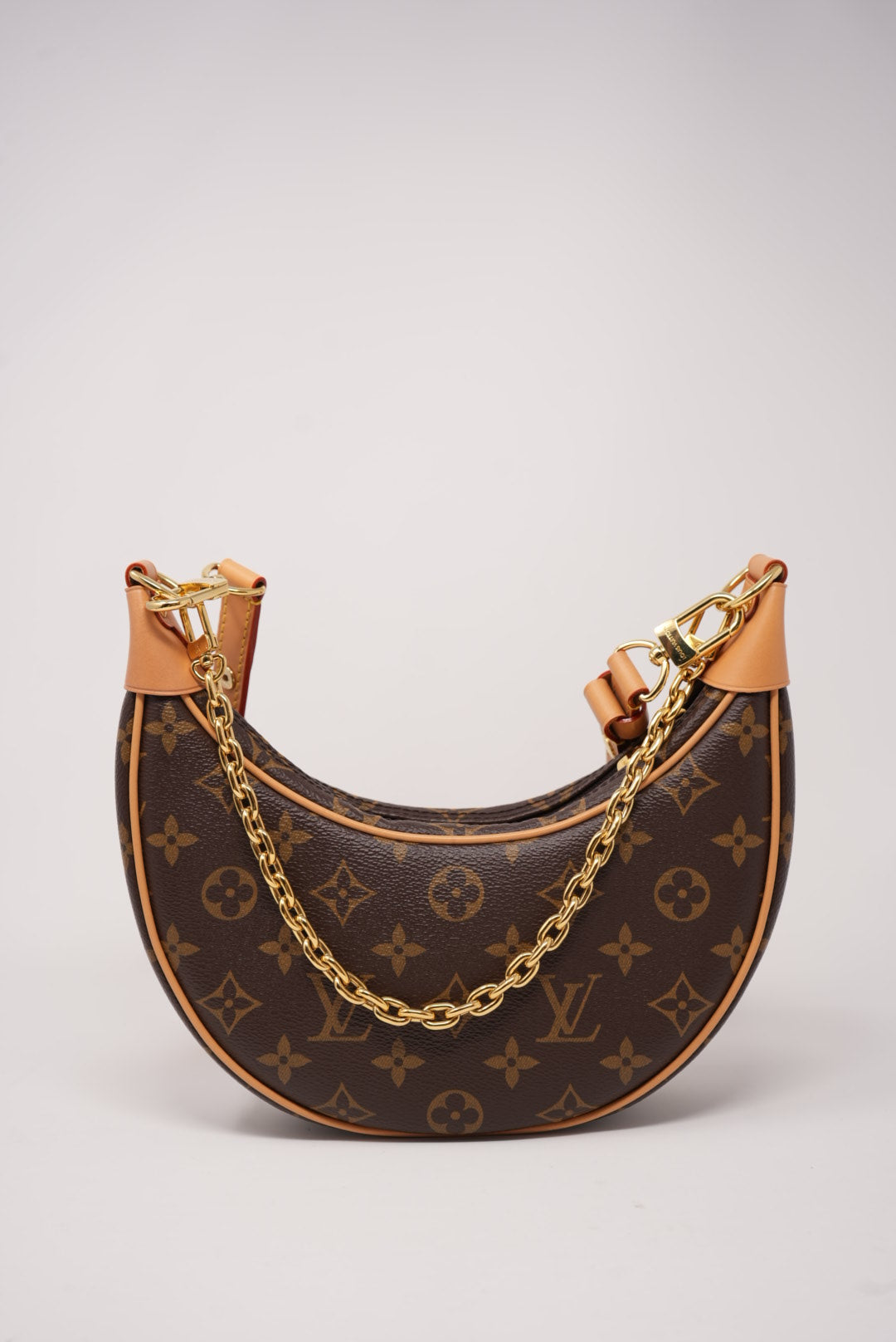 Louis Vuitton Monogram Canvas Loop Hobo Bag