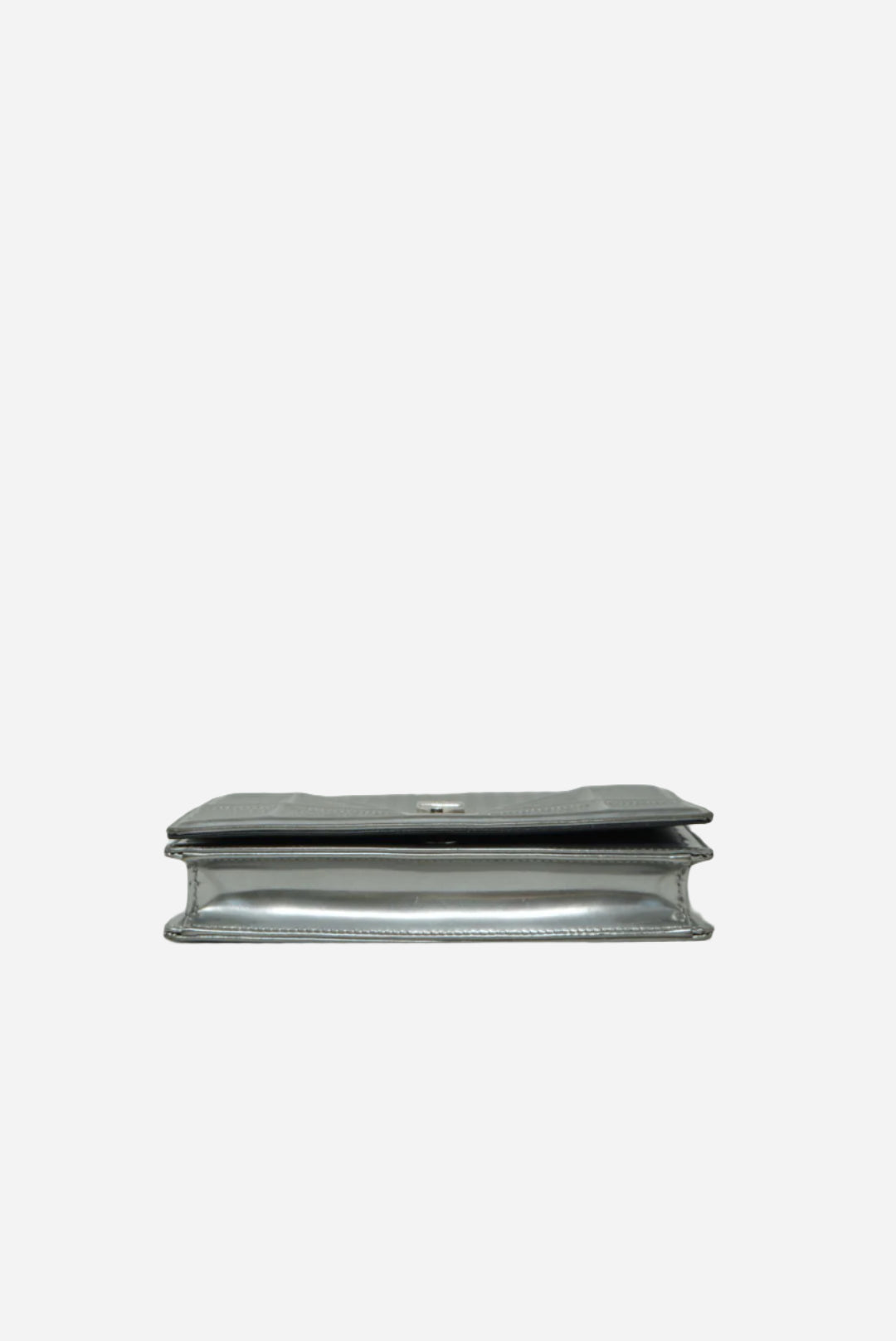 Dior Metallic Diorama Wallet on Chain 2017