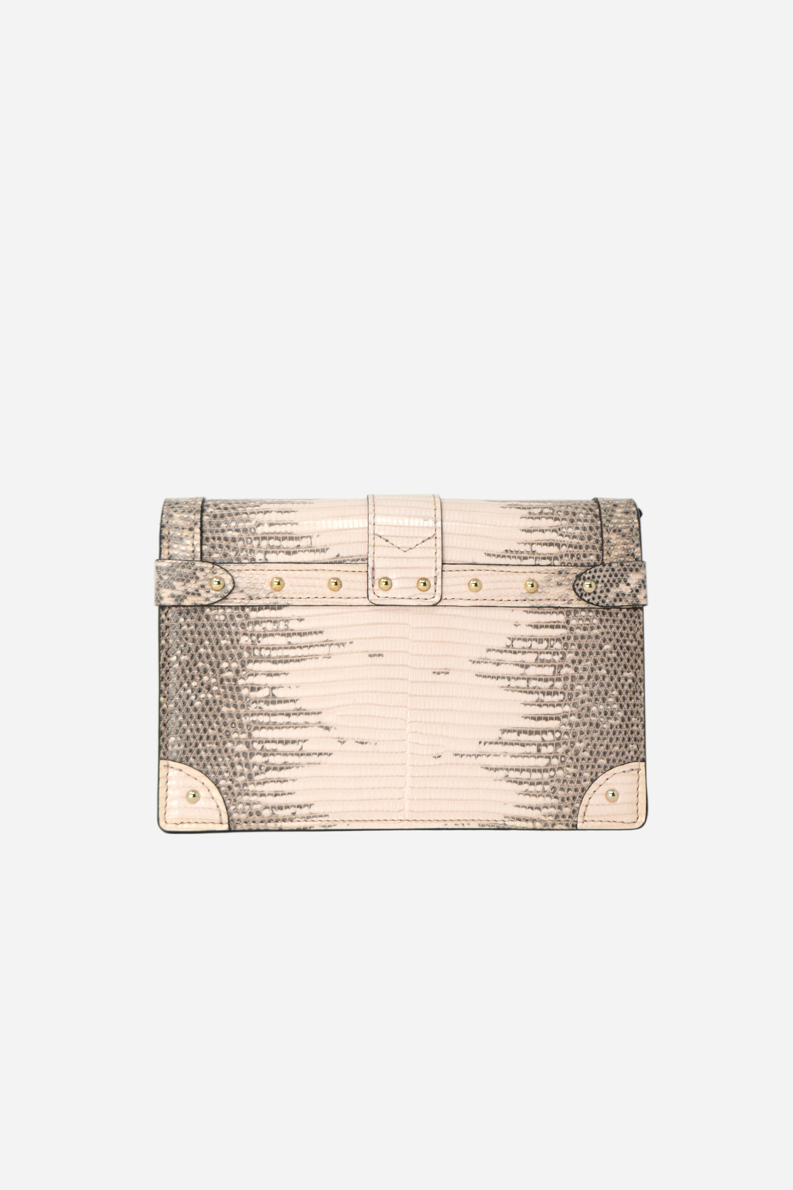 Louis Vuitton Lizard Petite Malle Trunk Chain Wallet