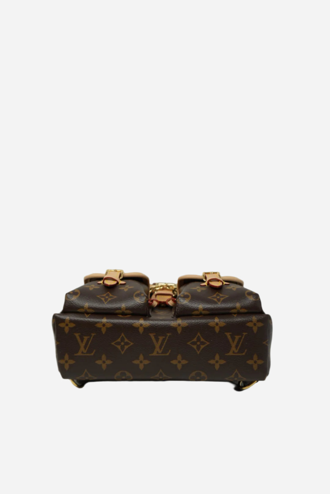Louis Vuitton Excursion PM Backpack