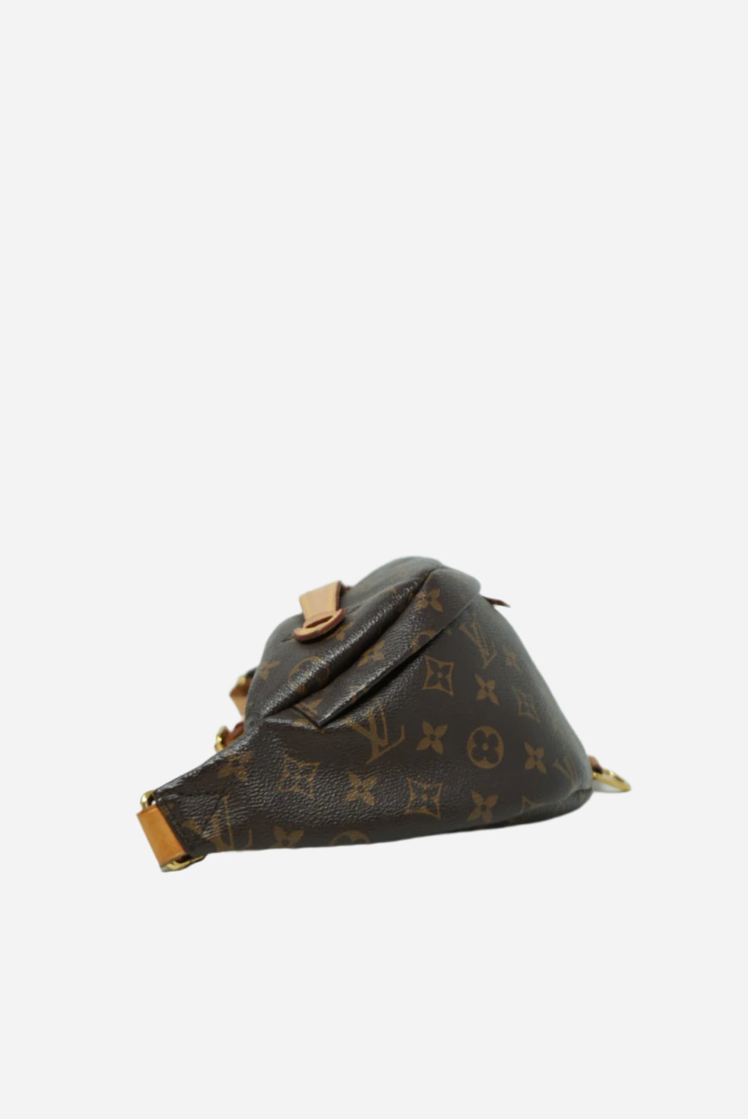 Louis Vuitton Monogram Bumbag 2019