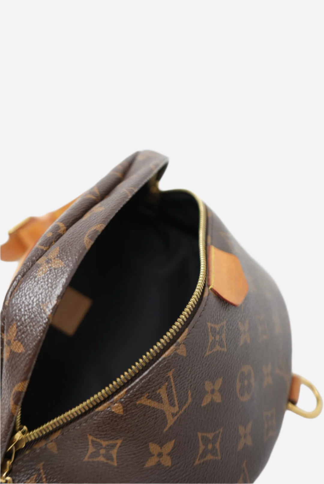 Louis Vuitton Monogram Bumbag 2019