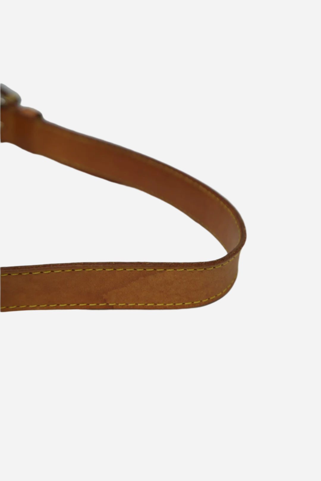 Louis Vuitton Monogram Bumbag 2019
