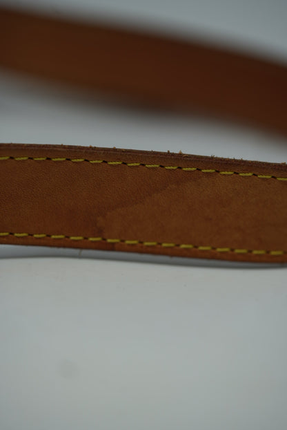 Louis Vuitton Monogram Bumbag 2019