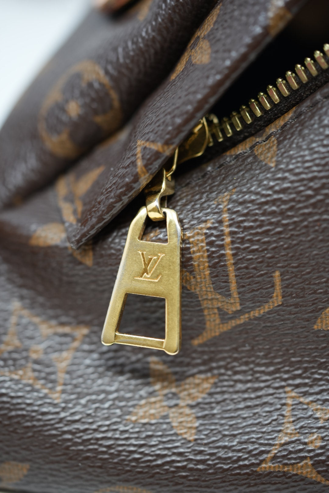 Louis Vuitton Monogram Bumbag 2019