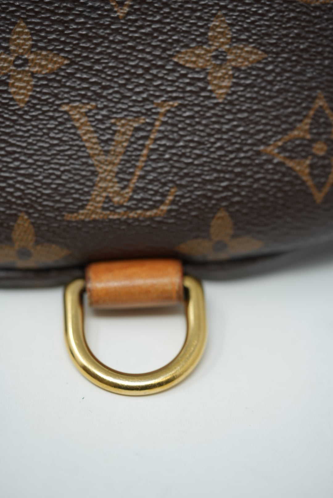 Louis Vuitton Monogram Bumbag 2019