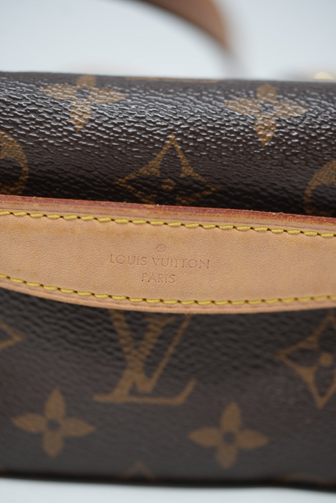 Louis Vuitton Monogram Bumbag 2019