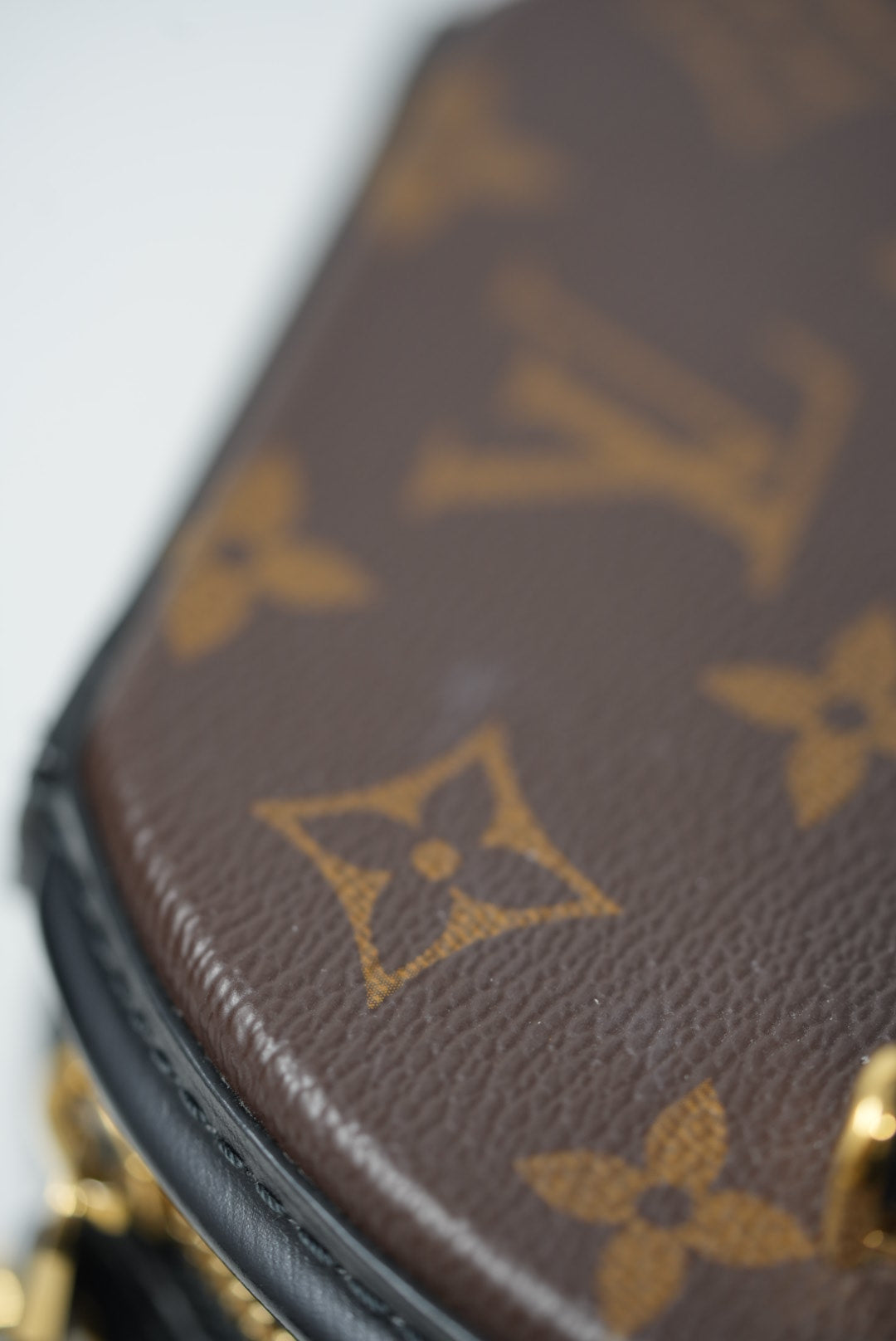 LOUIS VUITTON CANNES BAG MONOGRAM