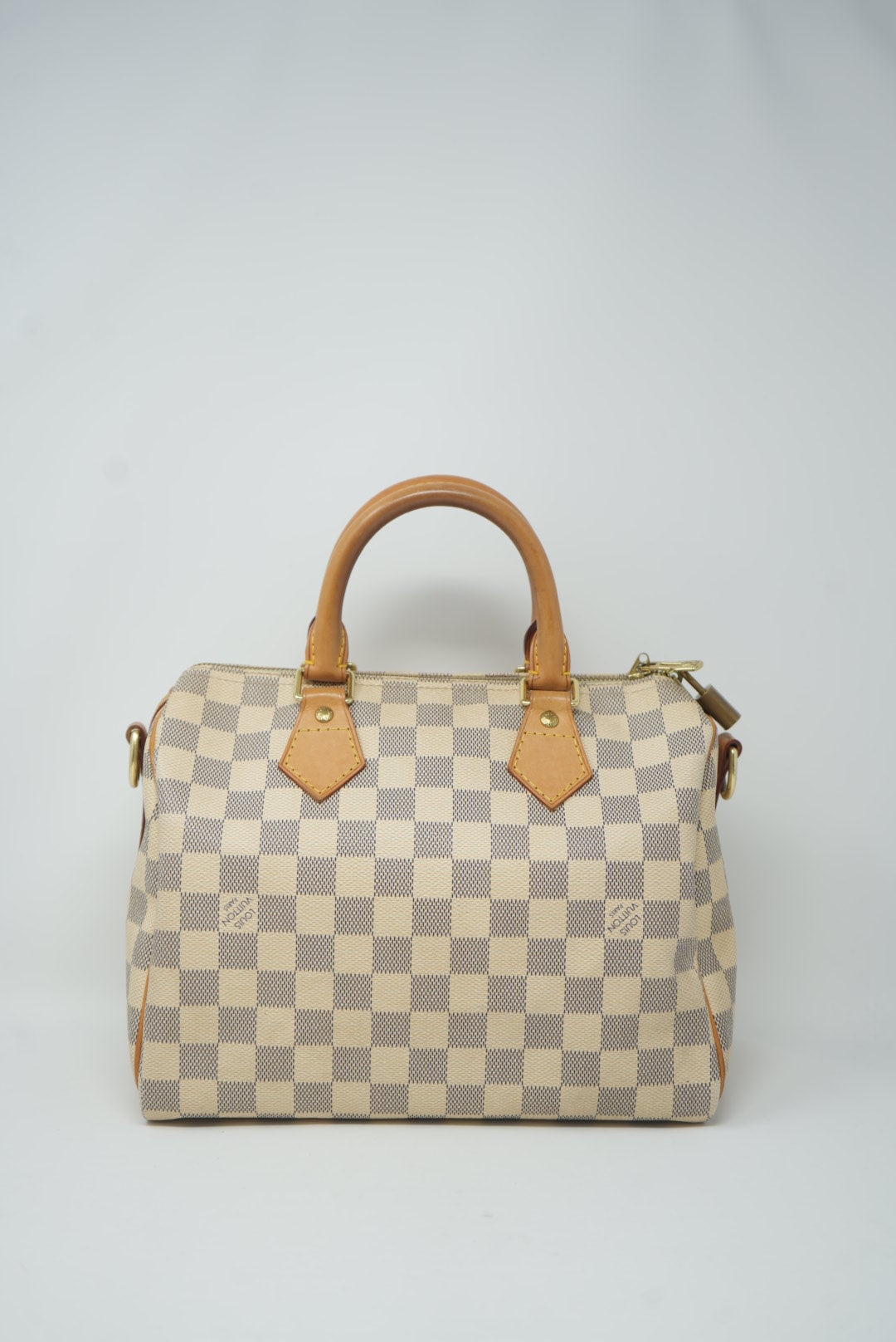 Louis Vuitton Speedy 25 Handbag 2013