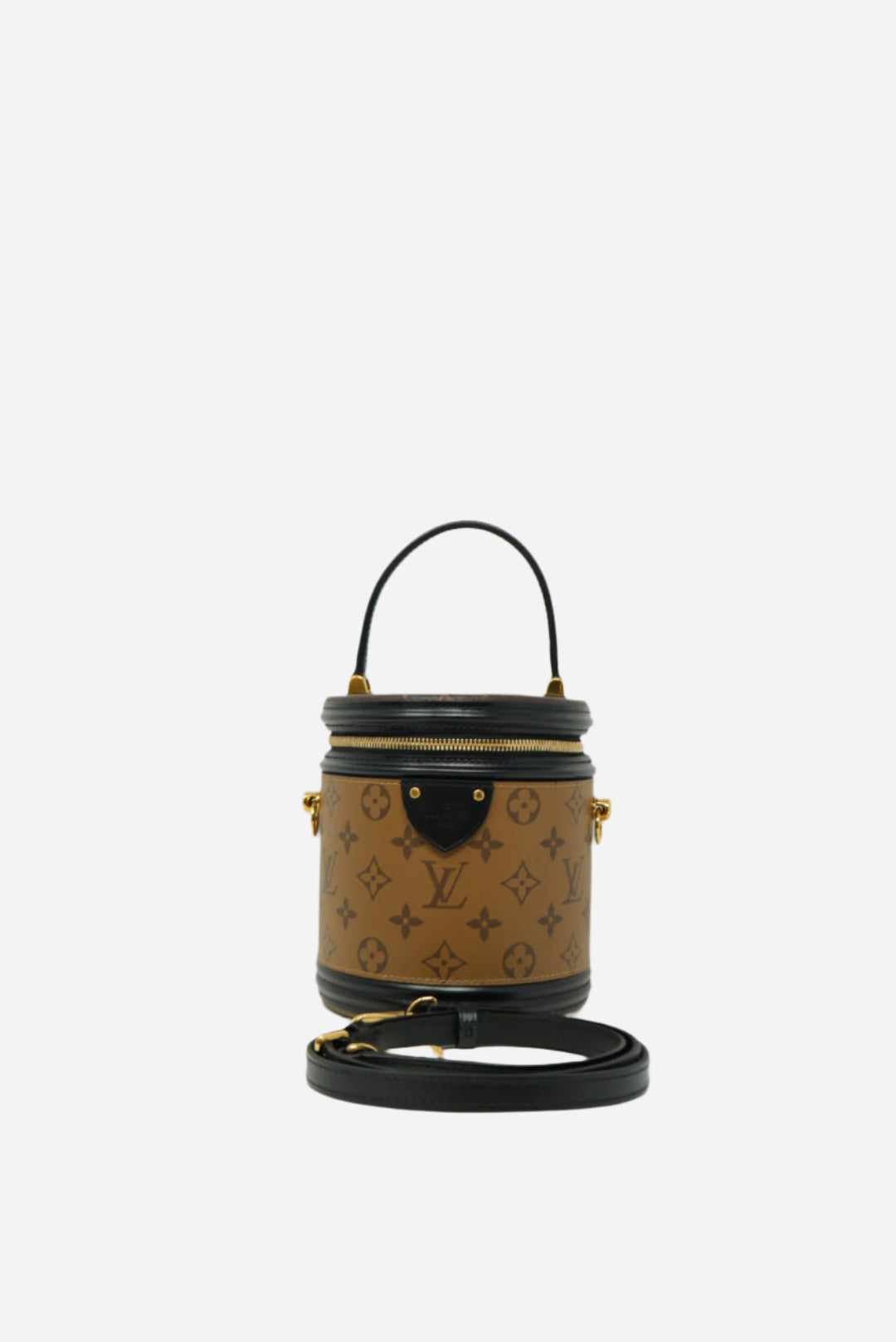 LOUIS VUITTON CANNES BAG 2019