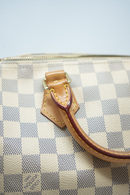 Louis Vuitton Speedy 25 Handbag 2013