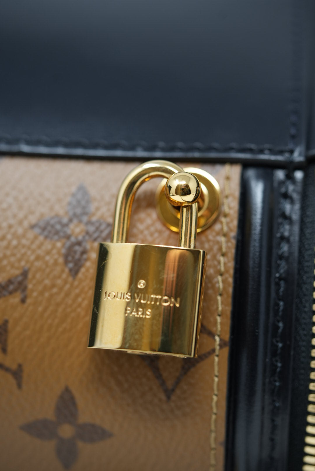 LOUIS VUITTON CANNES BAG 2019