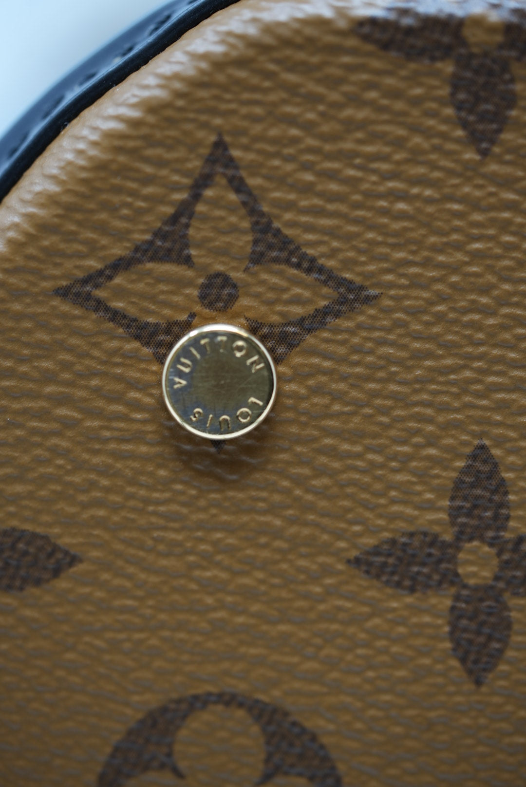 LOUIS VUITTON CANNES BAG 2019