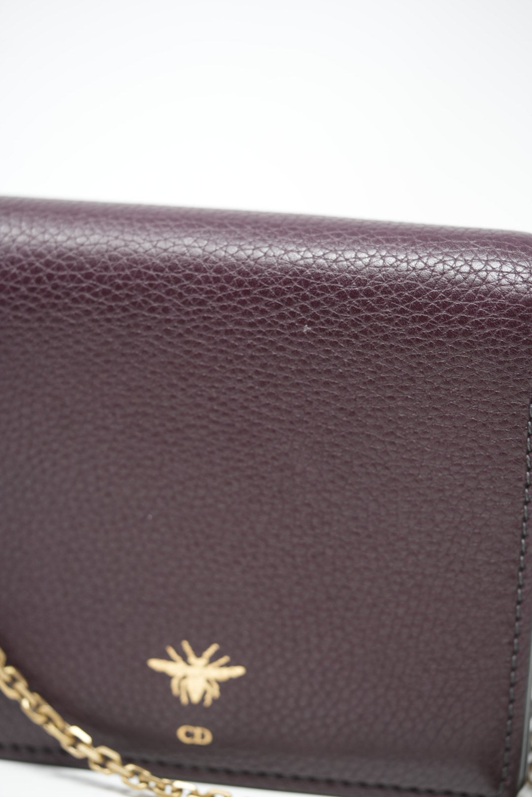 Dior Leather Wallet On Chain 2017