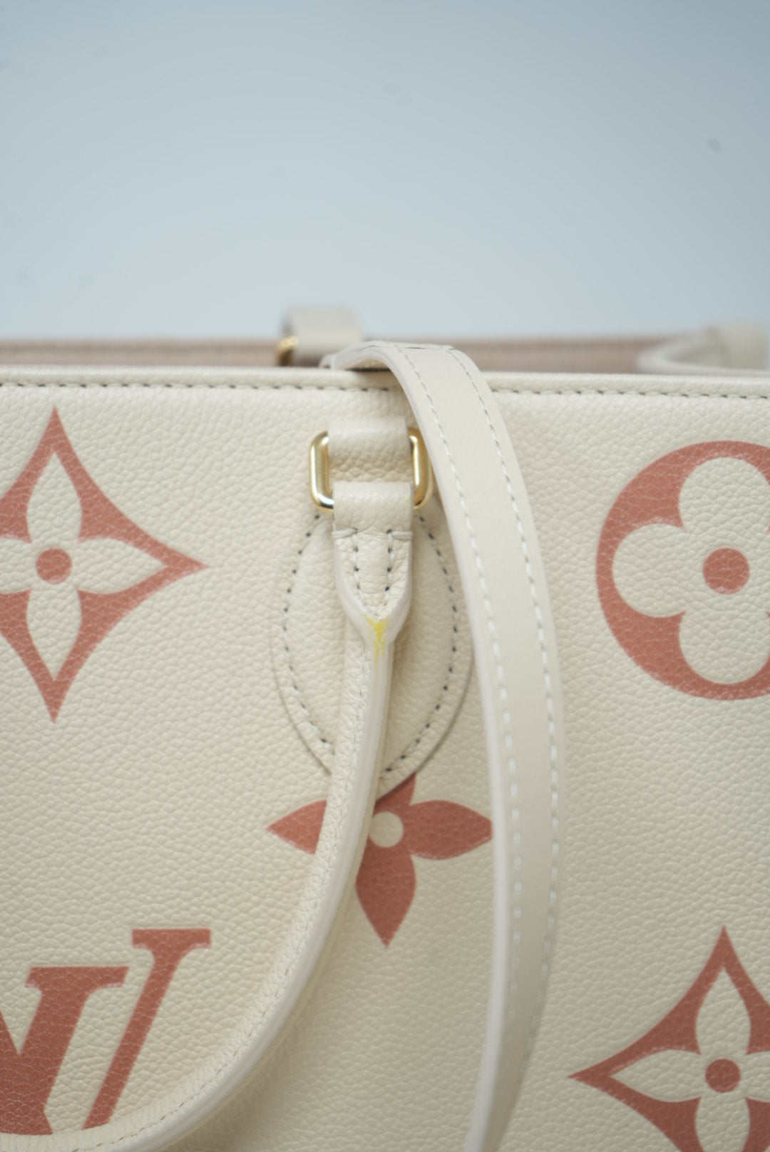 Louis Vuitton Onthego MM Biocolor