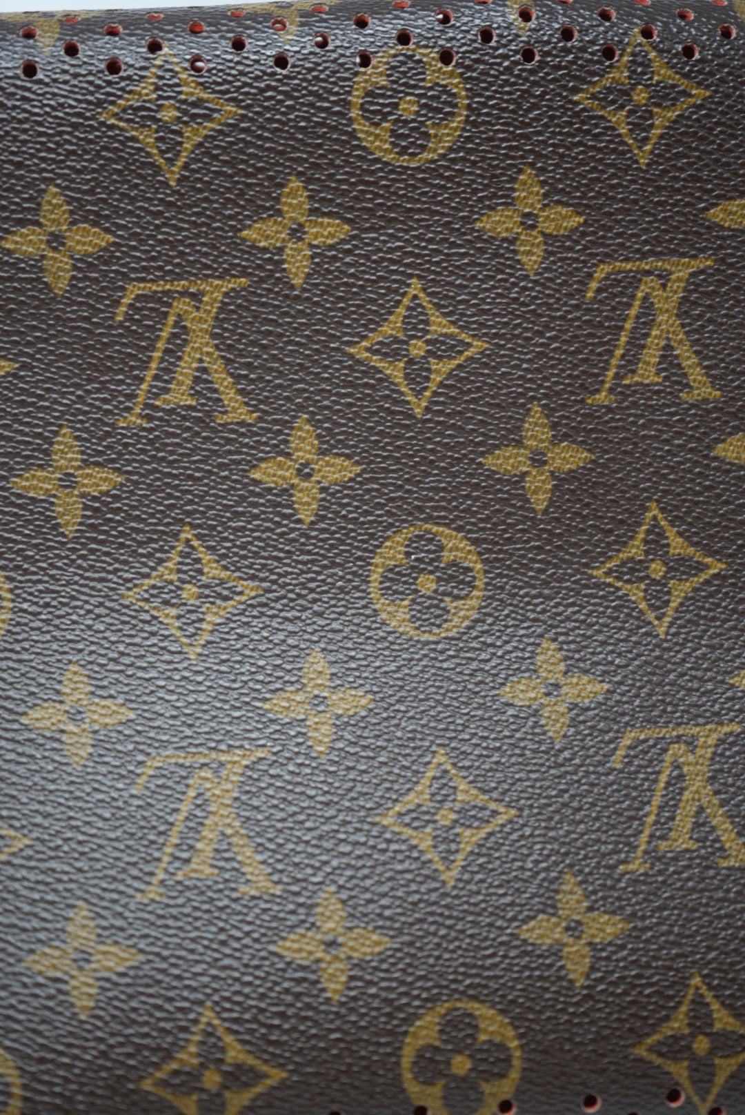 LOUIS VUITTON Perforated Speedy 30 Bag 2006