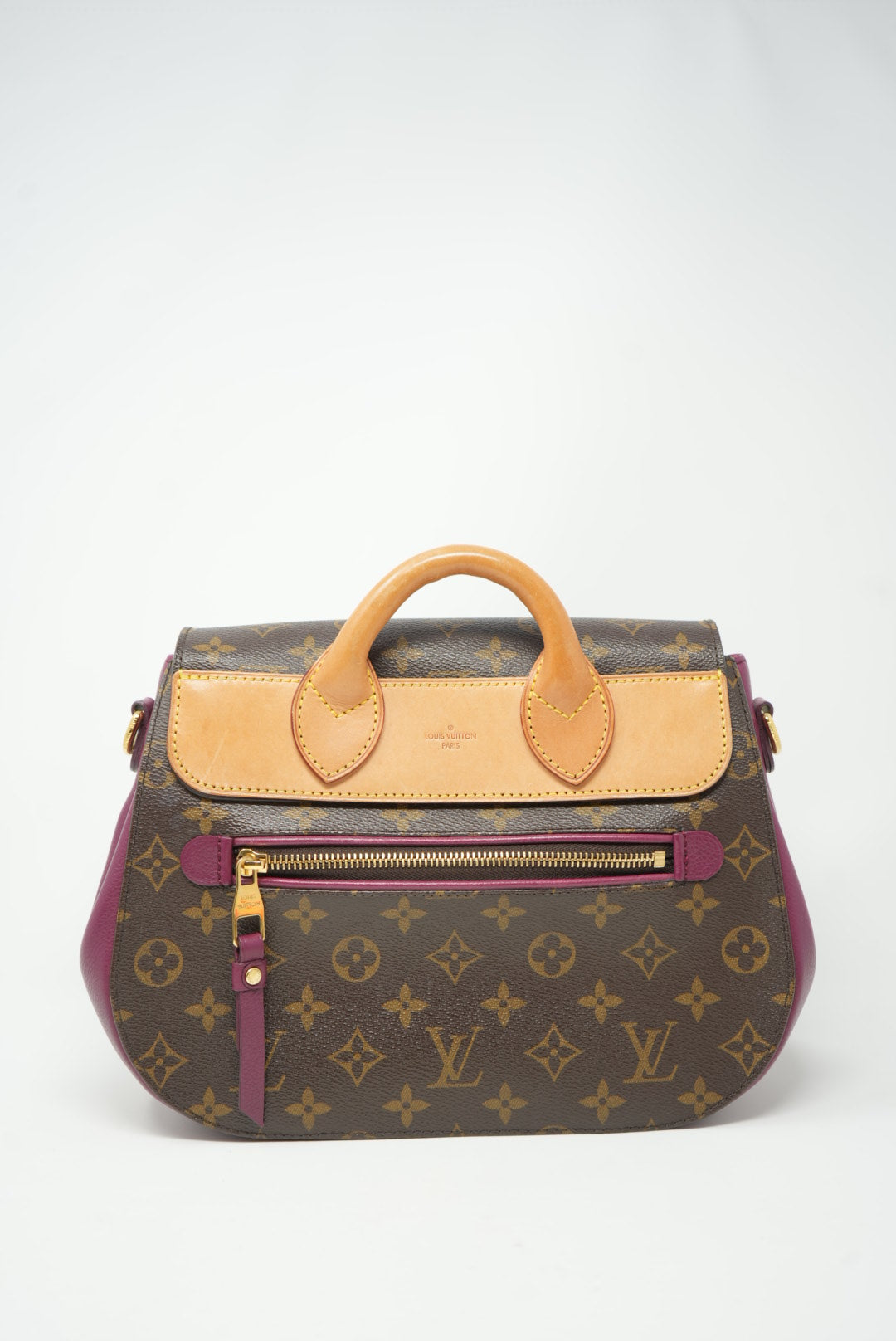 LOUIS VUITTON Monogram Eden PM