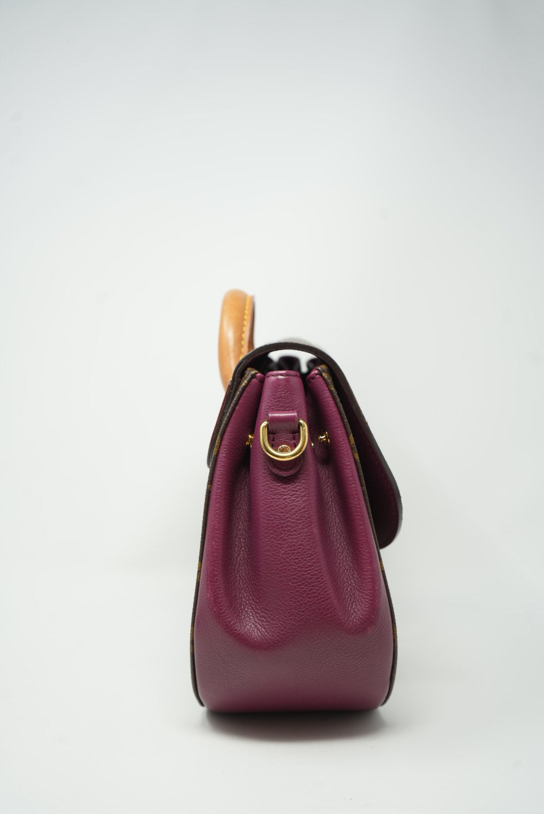 LOUIS VUITTON Monogram Eden PM
