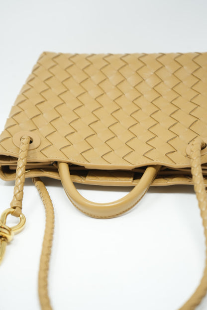 Pre-owned Bottega Veneta Small Andiamo Leather Praline