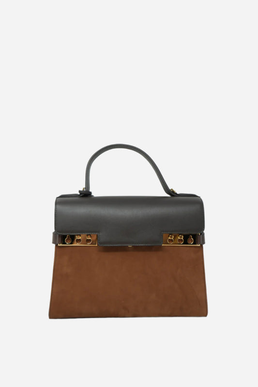 Delvaux Tempete Multicolor in Suede