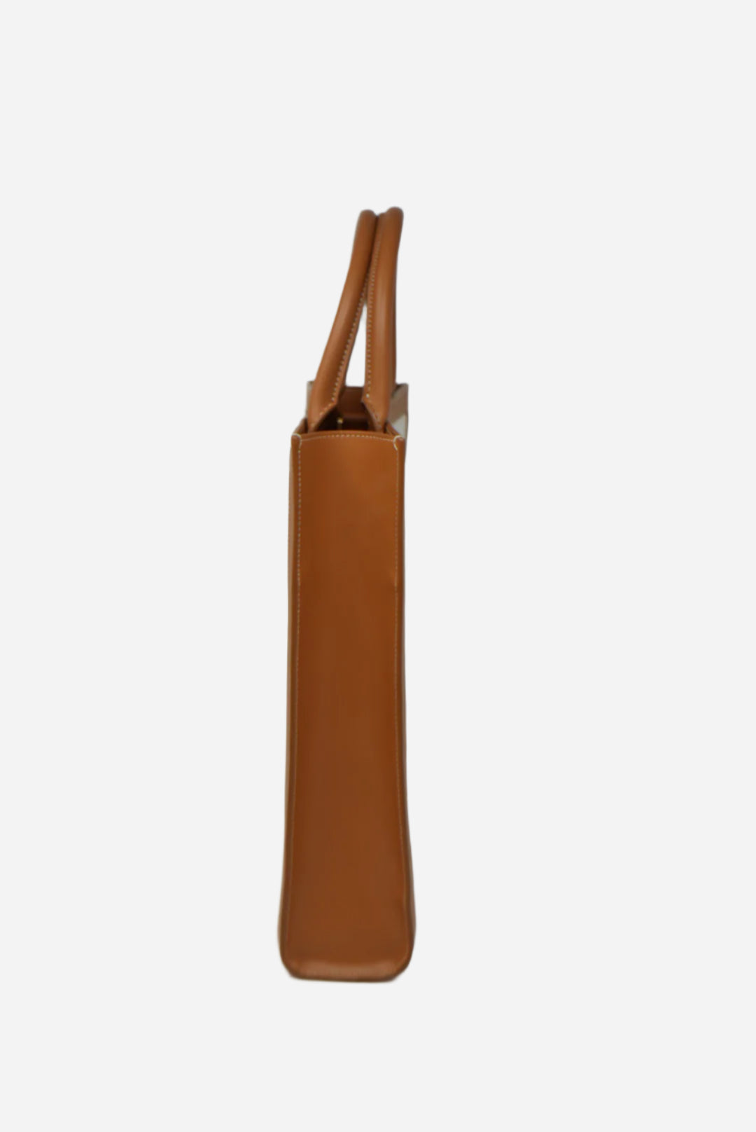 CELINE VERTICAL CABAS TOTE BAG BrandNew