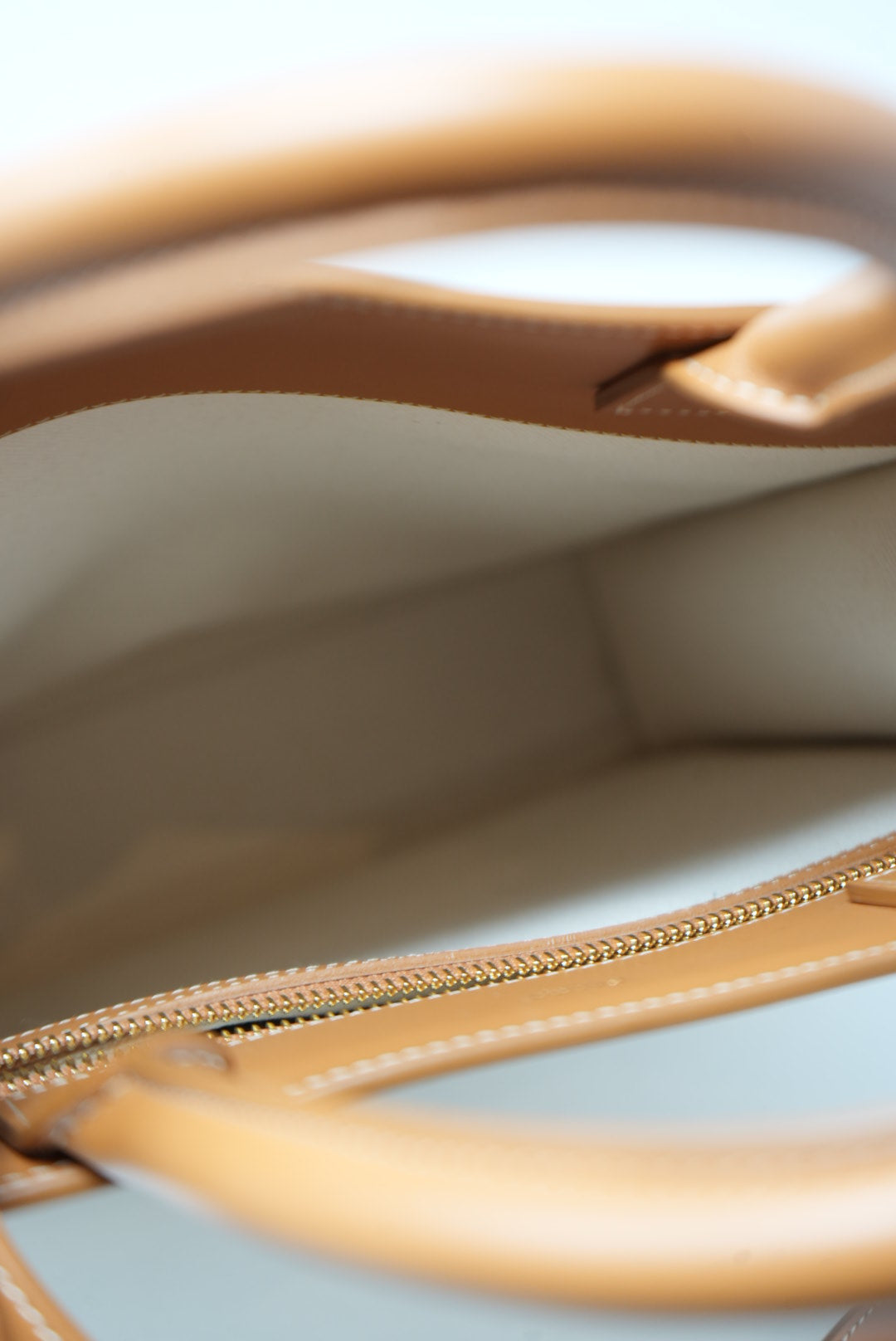 CELINE 2020 Canvas VERTICAL CABAS TOTE BAG