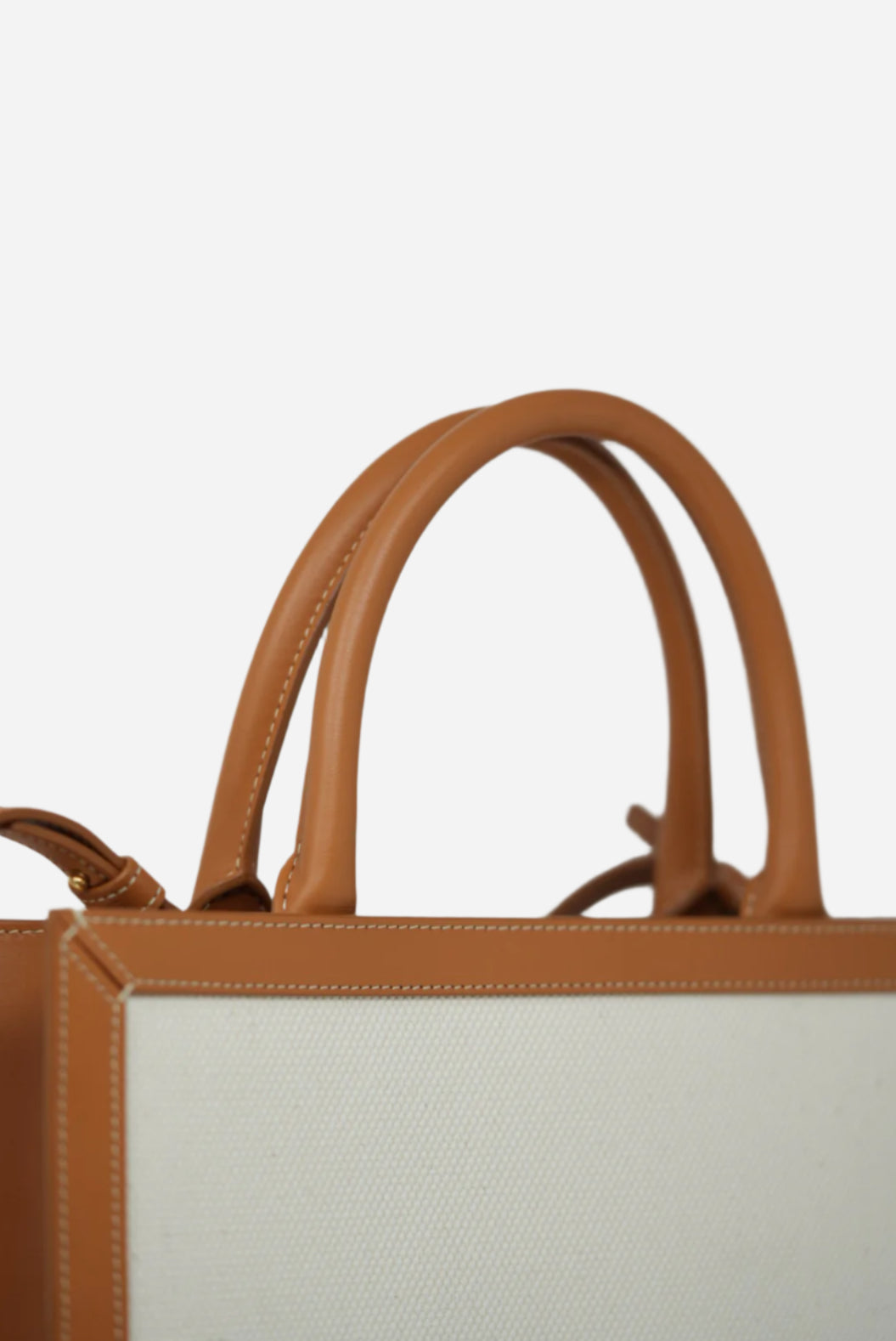 CELINE 2020 Canvas VERTICAL CABAS TOTE BAG
