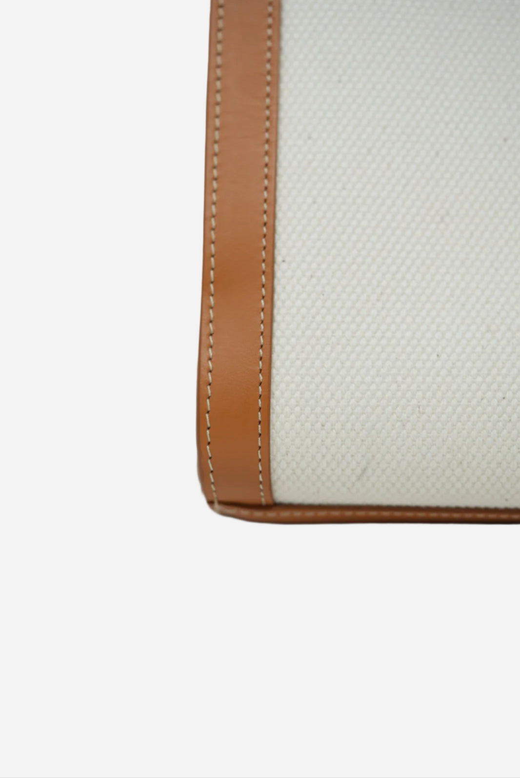 CELINE 2020 Canvas VERTICAL CABAS TOTE BAG
