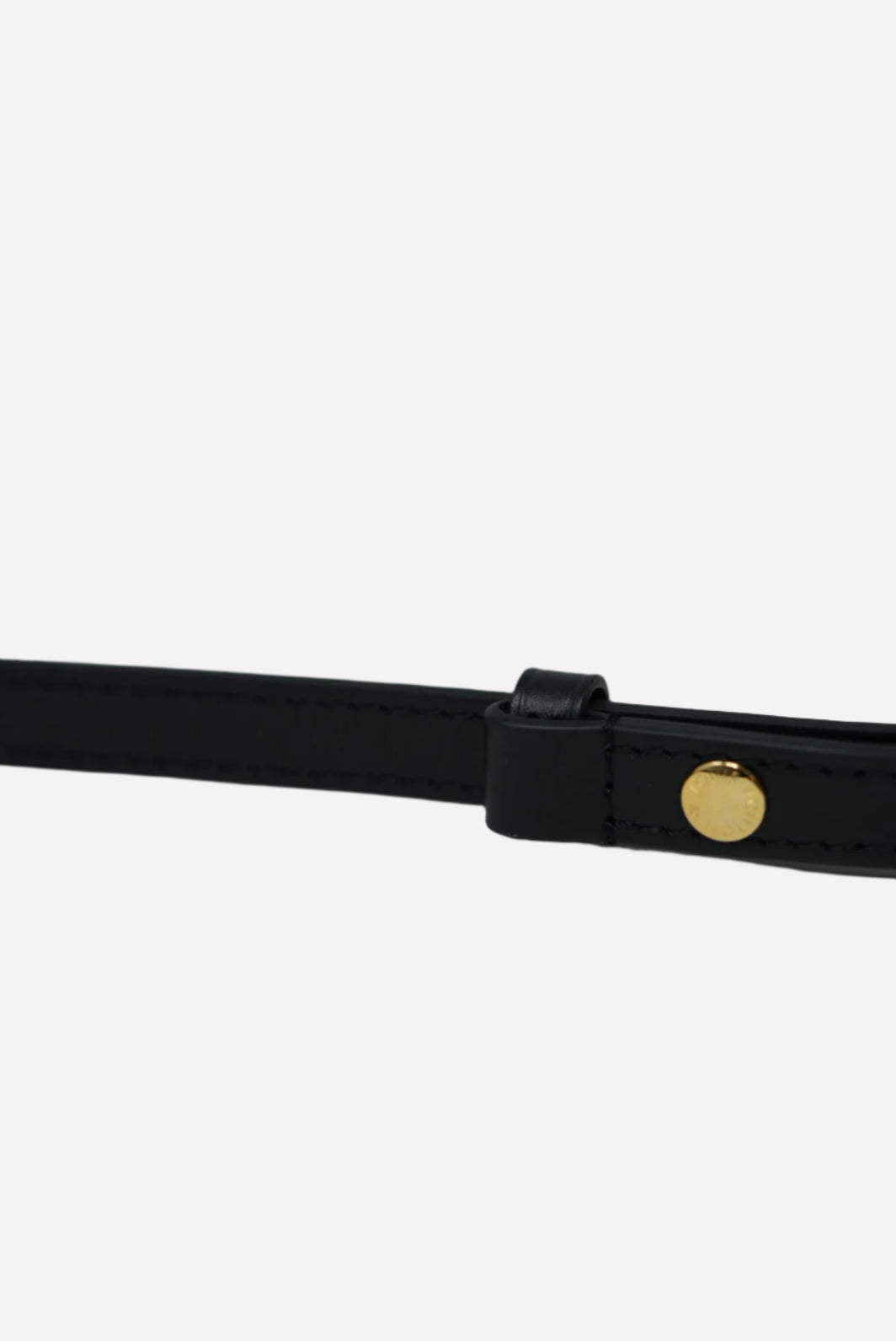 Louis Vuitton Monogram Tilsitt Handle