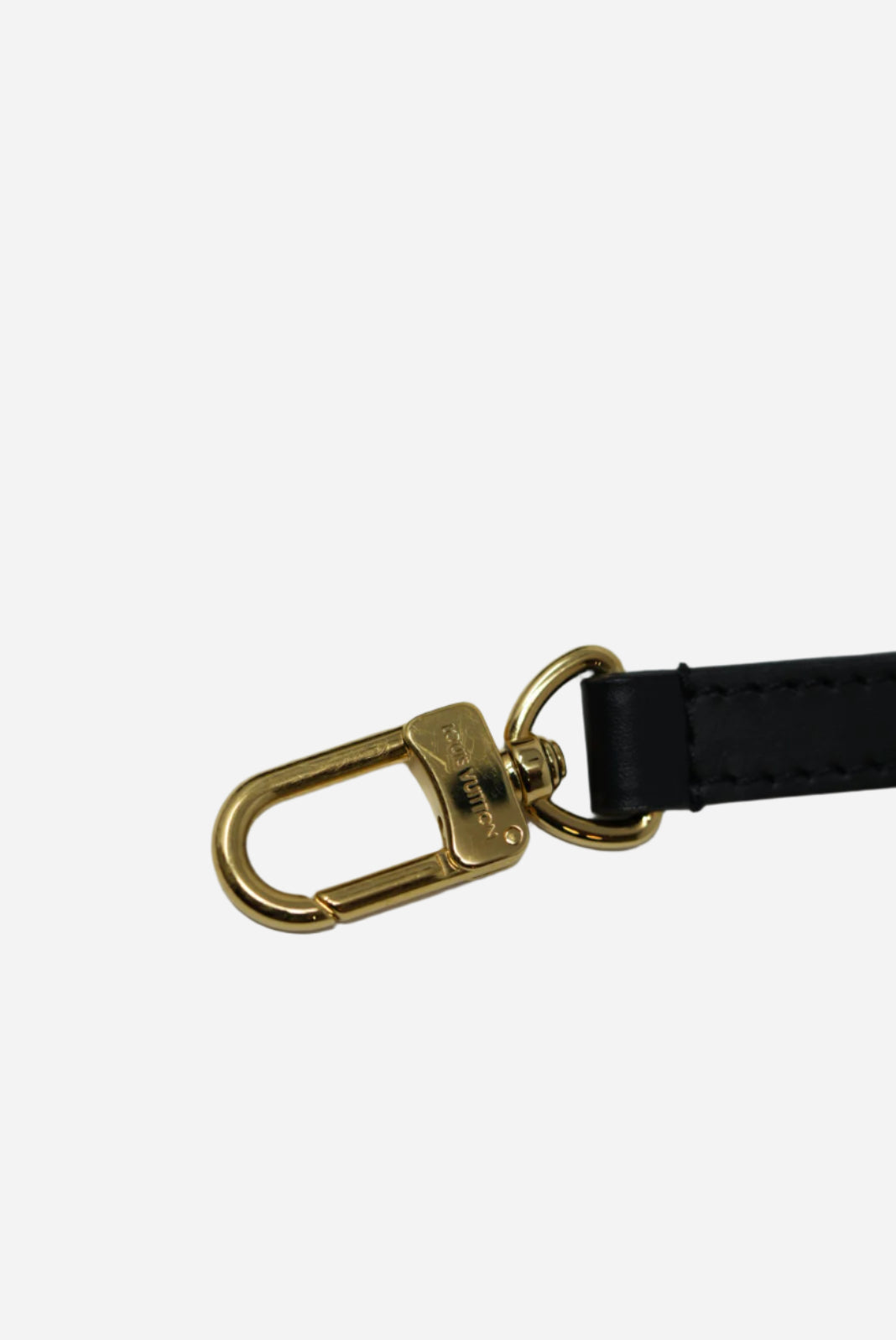 Louis Vuitton Monogram Tilsitt Handle
