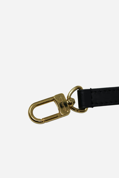 Louis Vuitton Monogram Tilsitt Handle